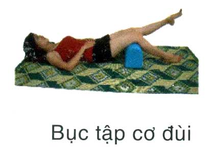 Bục tập cơ đùi